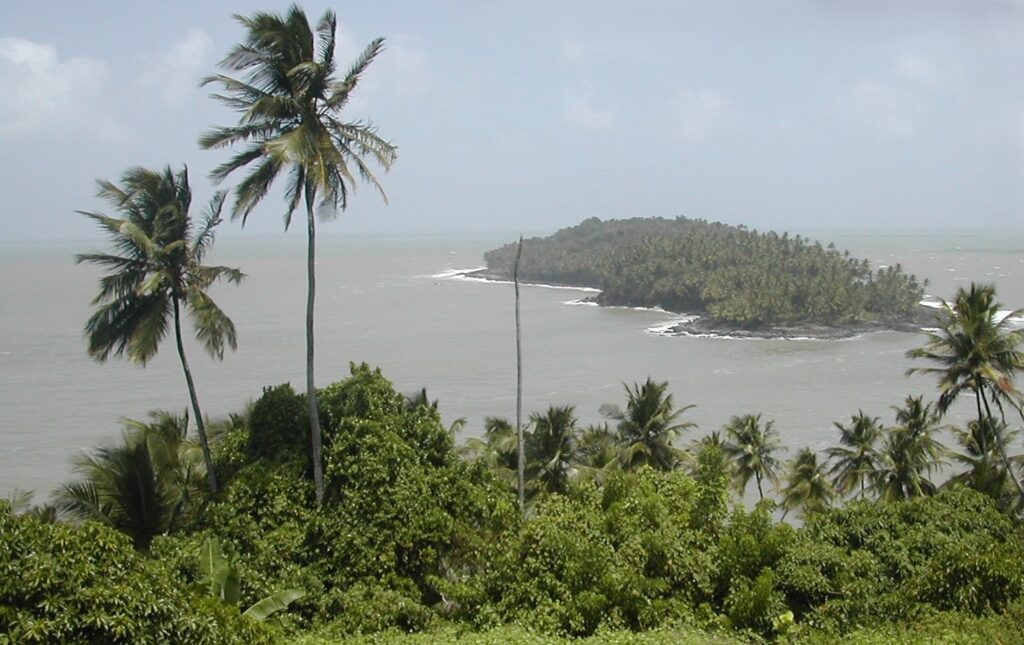 Paysage forestier de l'île du Salut en Guyane par Yves Nouvellet