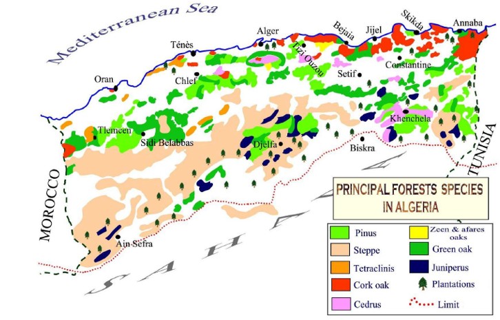 Carte de végétation du nord de l'Algérie