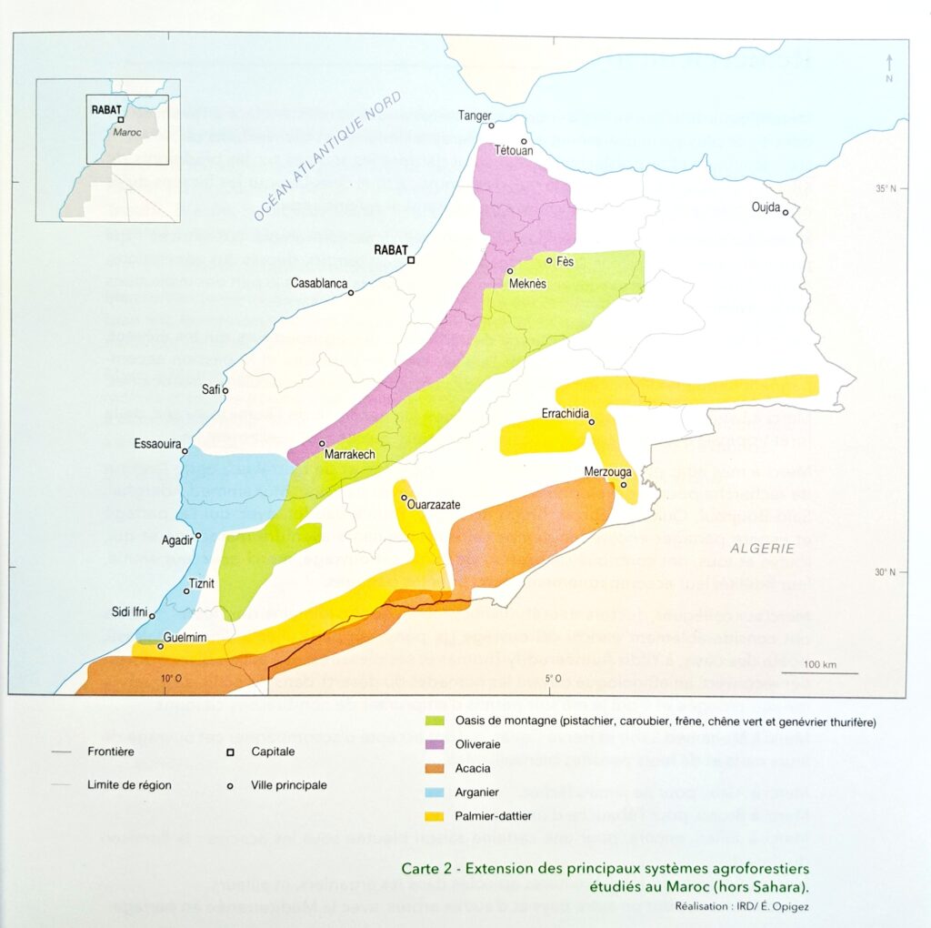 principaux systèmes agroforestiers Maroc (source IRD)
