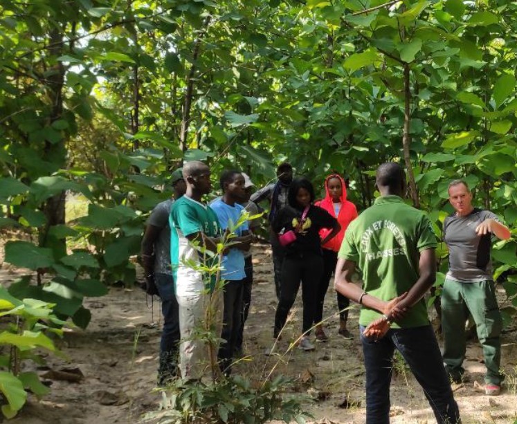 Echanges sylvicoles dans la teckeraie classée de Diegoune