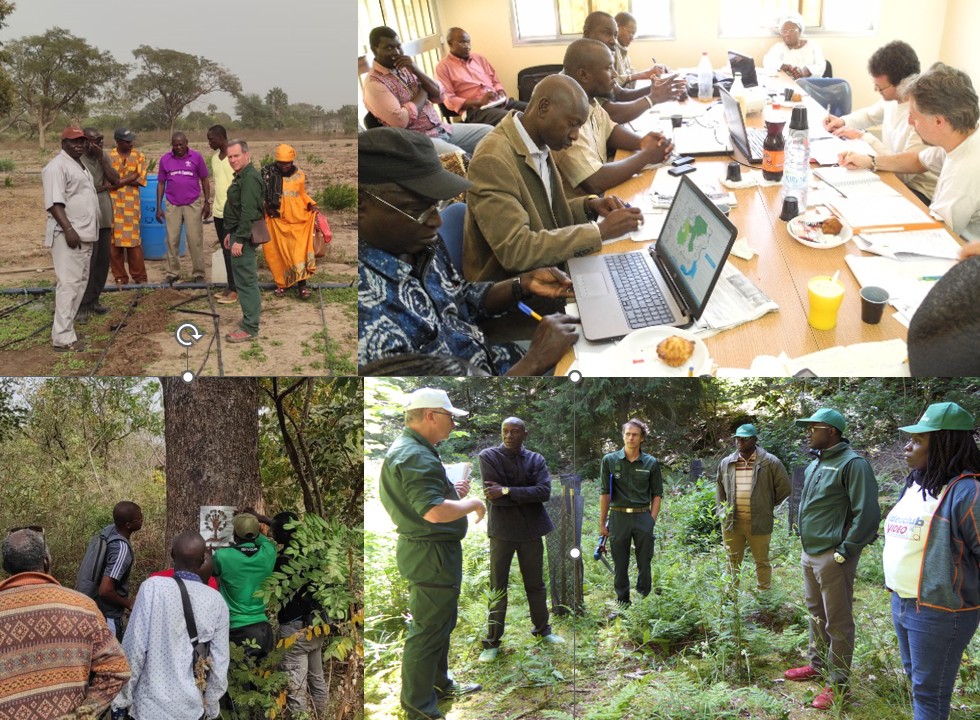 travaux forestiers pour améliorer la gestion durable des forêts de Bignona en Casamance au Sénégal