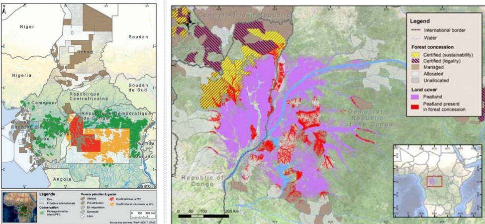 Carte des concessions minières et forestières dans les tourbières du bassin du Congo