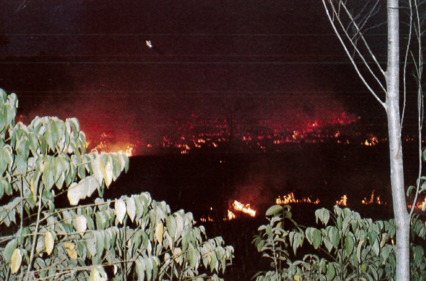 Feux de forêts en Indonésie